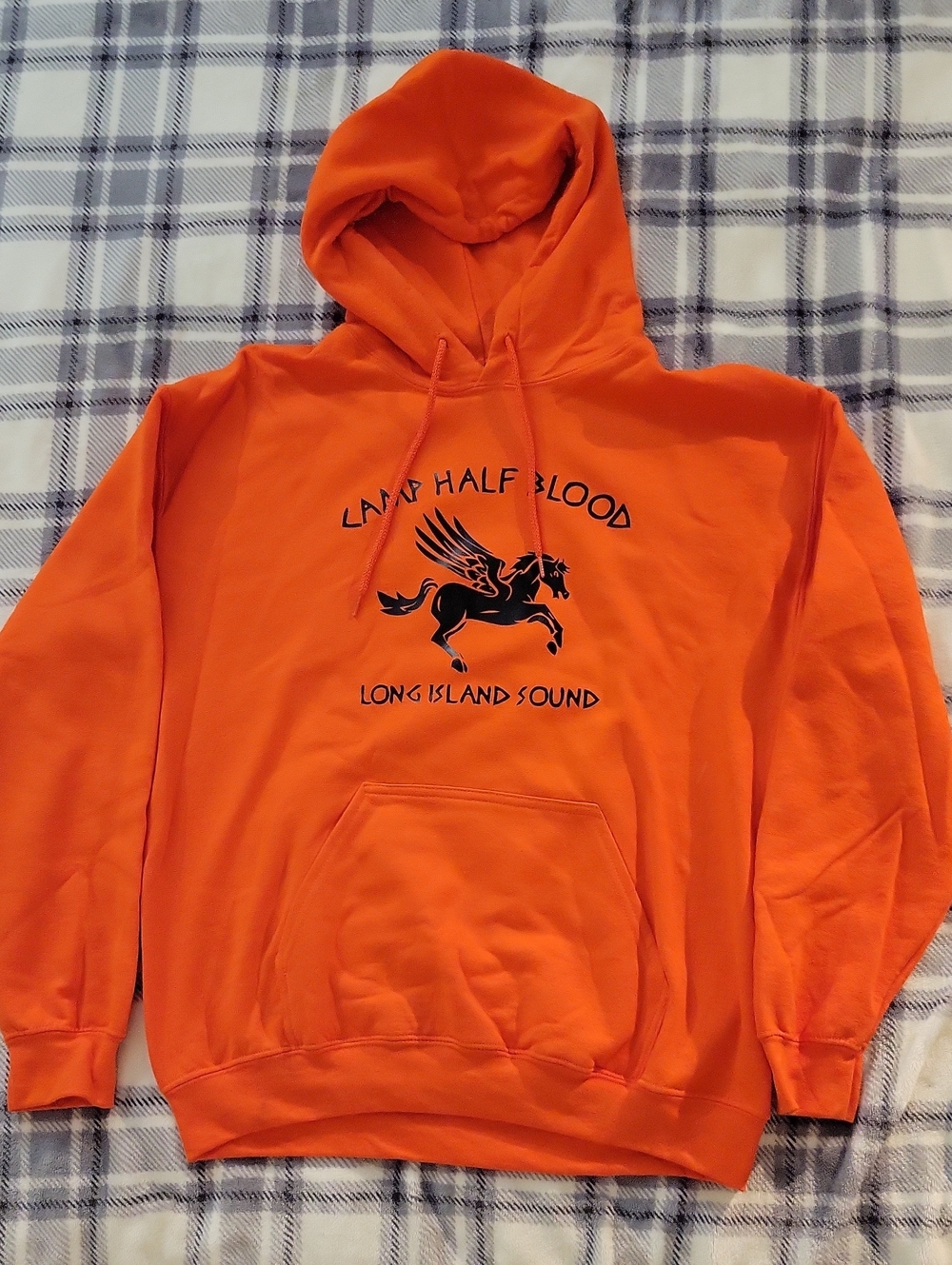 Percy Jackson Camp Halfblood Hoodie
